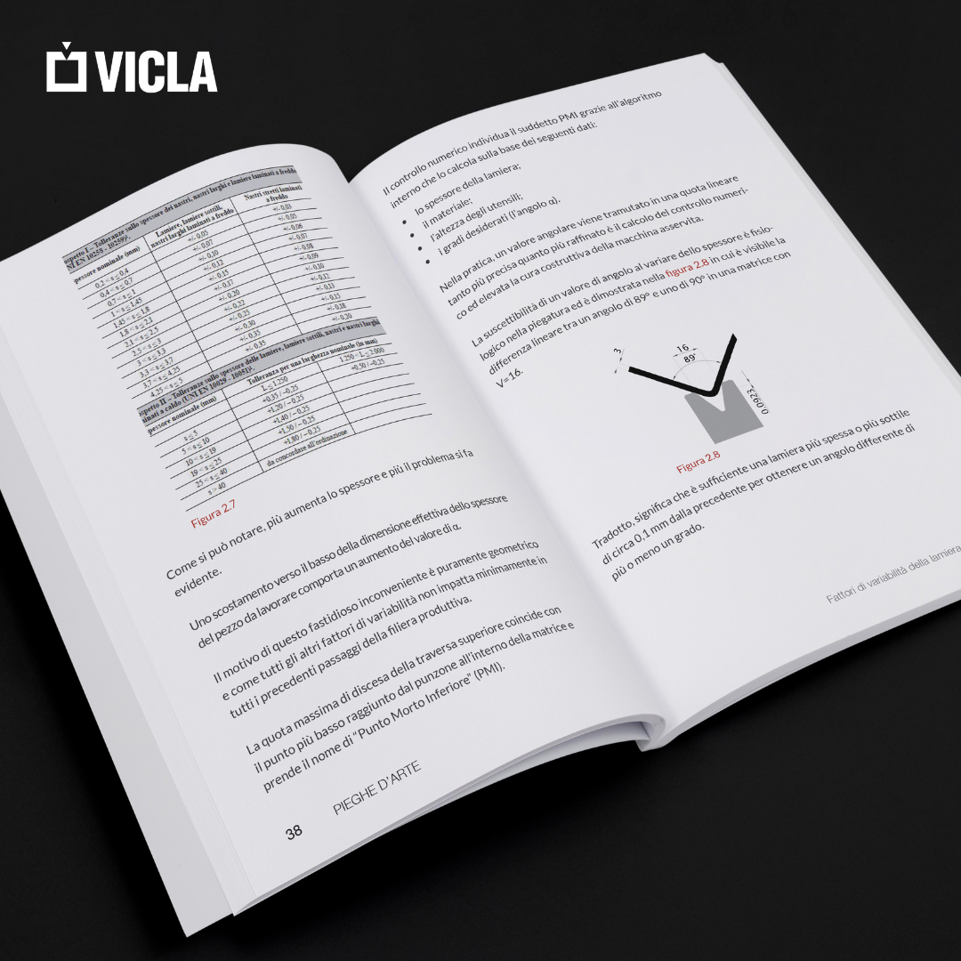 VICLA - Branding Post libro