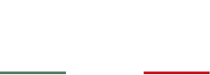 Vicla Logo